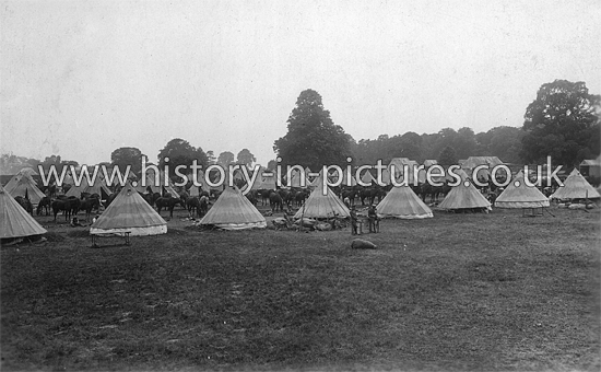 Herts Yeomany, Mistley Camp, Mistley, Essex. Jume 1916